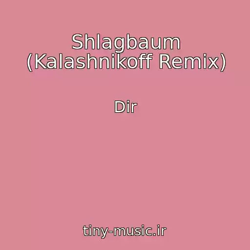 کاور آهنگ Shlagbaum (Kalashnikoff Remix) از Dir