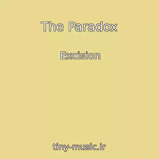 کاور آهنگ The Paradox از Excision