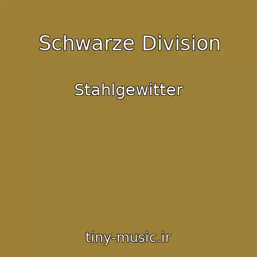 کاور آهنگ Schwarze Division از Stahlgewitter