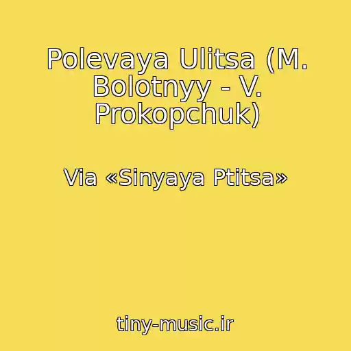 کاور آهنگ Polevaya Ulitsa (M. Bolotnyy - V. Prokopchuk) از Via «Sinyaya Ptitsa»