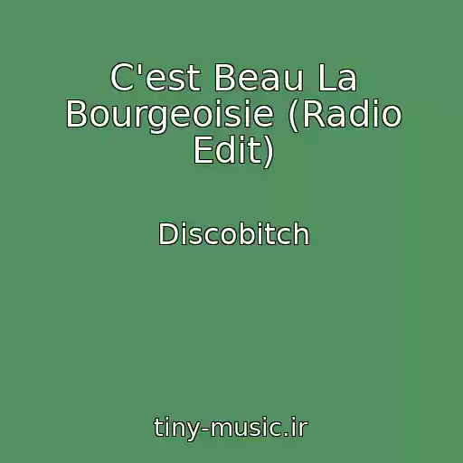کاور آهنگ C'est Beau La Bourgeoisie (Radio Edit) از Discobitch