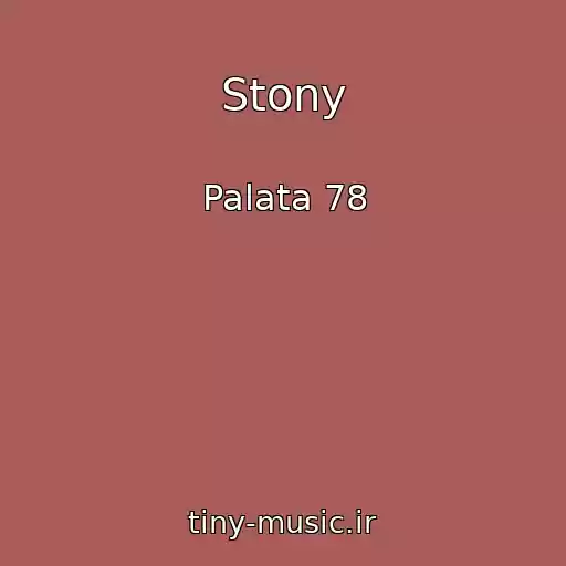 کاور آهنگ Stony از Palata 78