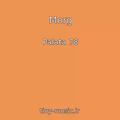کاور آهنگ Morg از Palata 78