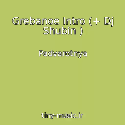 کاور آهنگ Grebanoe Intro (+ Dj Shubin ) از Padvarotnya