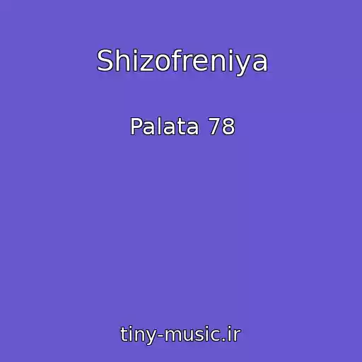 کاور آهنگ Shizofreniya از Palata 78