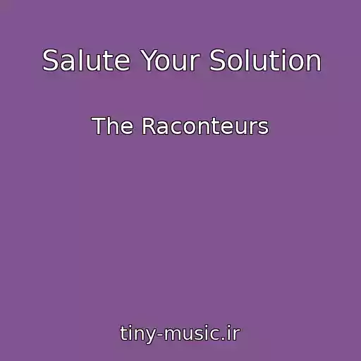 کاور آهنگ Salute Your Solution از The Raconteurs