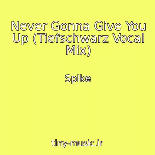 کاور آهنگ Never Gonna Give You Up (Tiefschwarz Vocal Mix) از Spike