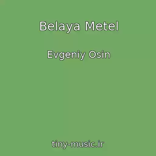 کاور آهنگ Belaya Metel از Evgeniy Osin