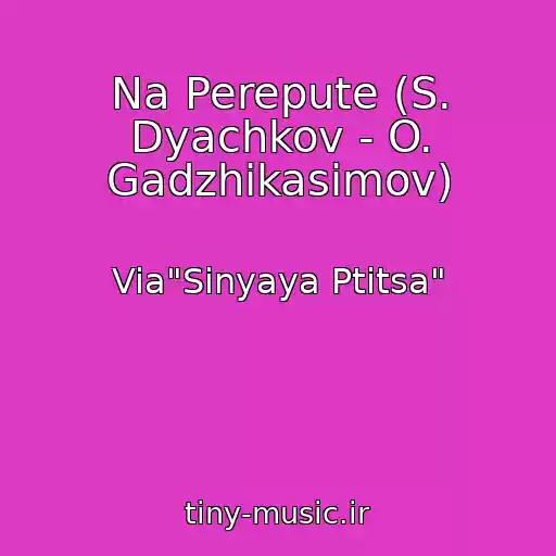 کاور آهنگ Na Perepute (S. Dyachkov - O. Gadzhikasimov) از Via"Sinyaya Ptitsa"