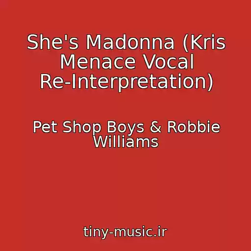 کاور آهنگ She's Madonna (Kris Menace Vocal Re-Interpretation) از Pet Shop Boys & Robbie Williams