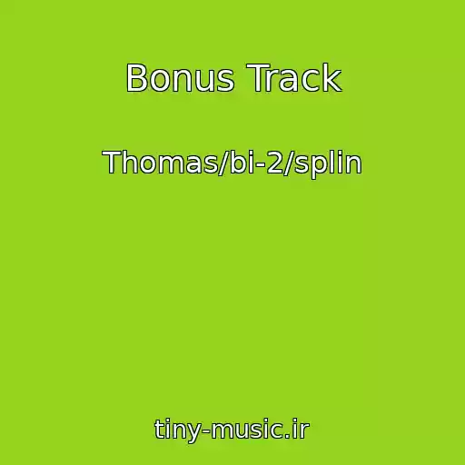 کاور آهنگ Bonus Track از Thomas/bi-2/splin