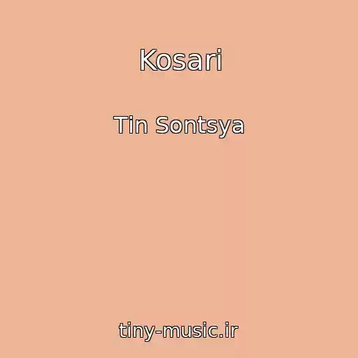 کاور آهنگ Kosarі از Tіn Sontsya