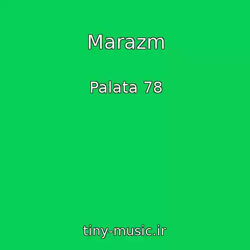 کاور آهنگ Marazm از Palata 78