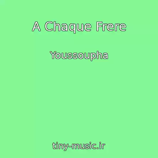 کاور آهنگ A Chaque Frere از Youssoupha