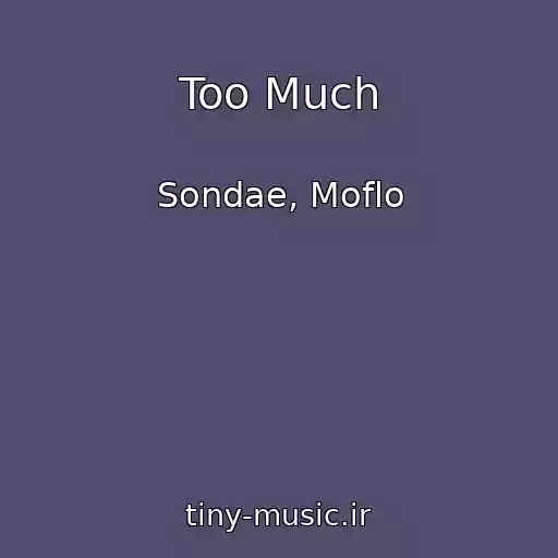 کاور آهنگ Too Much از Sondae, Moflo
