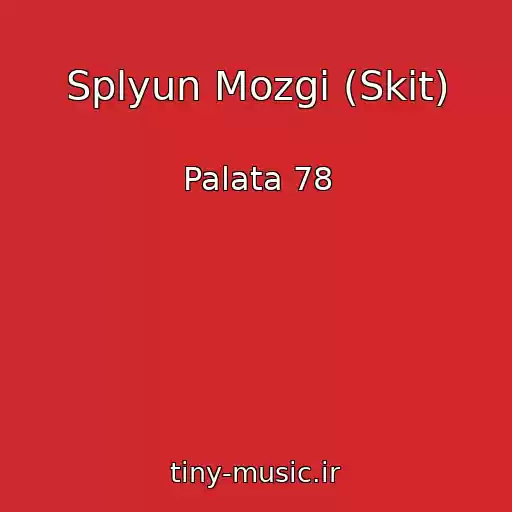 کاور آهنگ Splyun Mozgi (Skit) از Palata 78