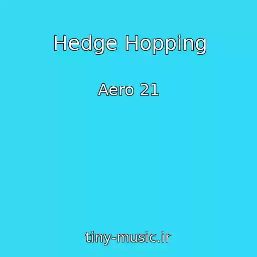 کاور آهنگ Hedge Hopping از Aero 21