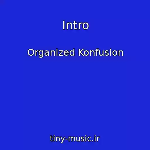 کاور آهنگ Intro از Organized Konfusion