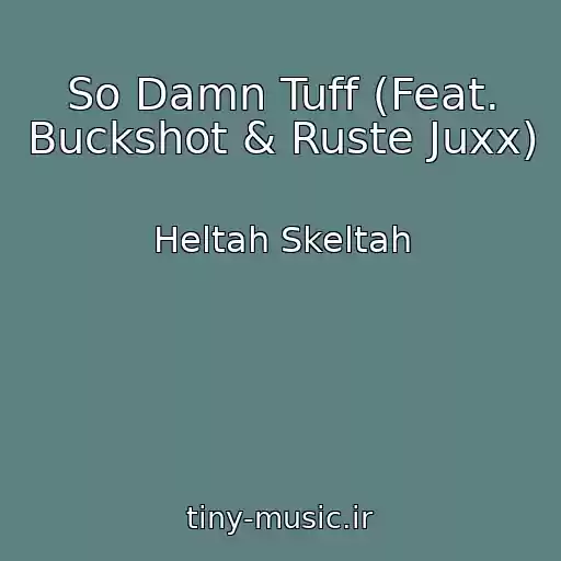 کاور آهنگ So Damn Tuff (Feat. Buckshot & Ruste Juxx) از Heltah Skeltah