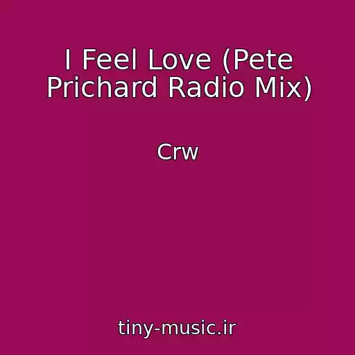 کاور آهنگ I Feel Love (Pete Prichard Radio Mix) از Crw