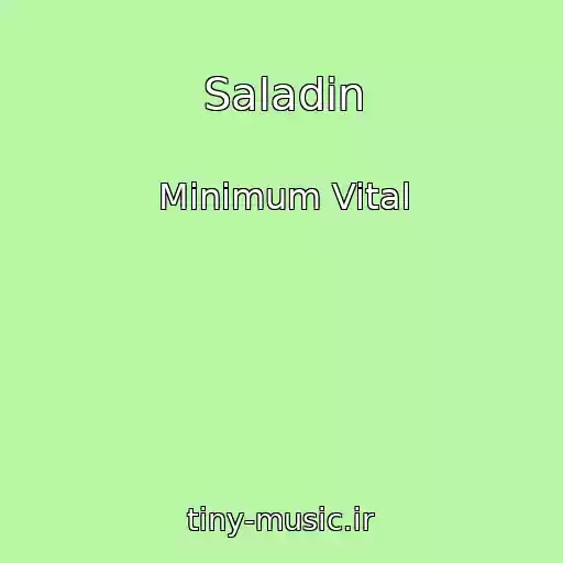 کاور آهنگ Saladin از Minimum Vital