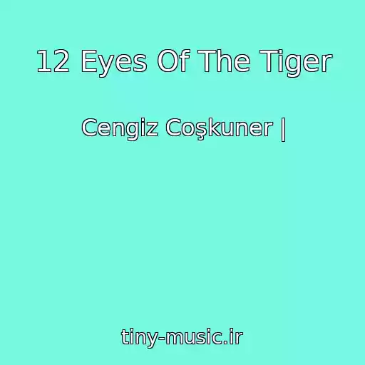کاور آهنگ 12 Eyes Of The Tiger از Cengiz Coşkuner |
