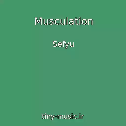 کاور آهنگ Musculation از Sefyu