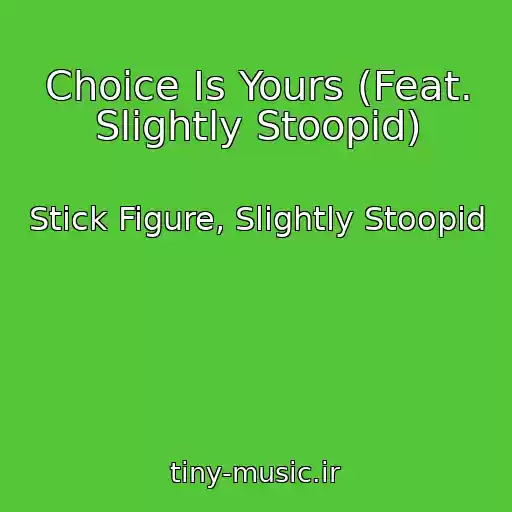 کاور آهنگ Choice Is Yours (Feat. Slightly Stoopid) از Stick Figure, Slightly Stoopid