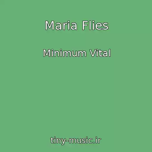 کاور آهنگ Maria Flies از Minimum Vital