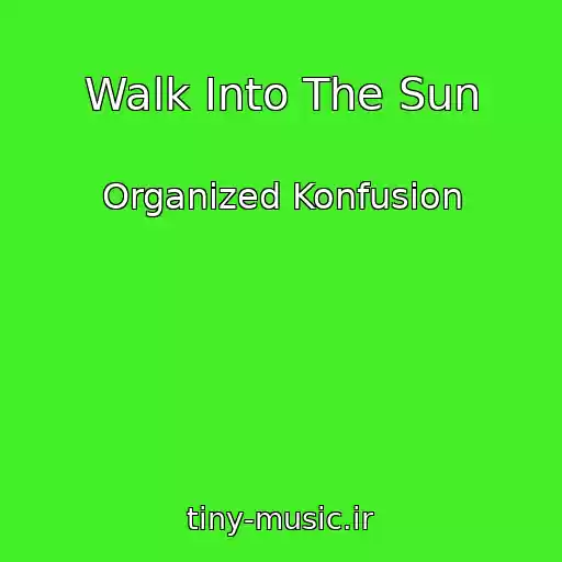 کاور آهنگ Walk Into The Sun از Organized Konfusion