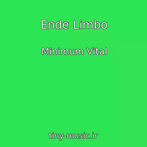کاور آهنگ Ende Limbo از Minimum Vital