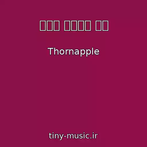 کاور آهنگ 매미는 비가와도 운다 از Thornapple