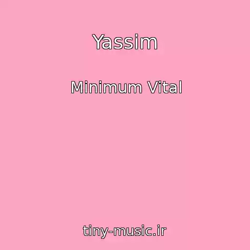 کاور آهنگ Yassim از Minimum Vital