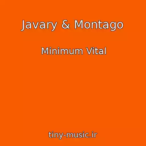 کاور آهنگ Javary & Montago از Minimum Vital