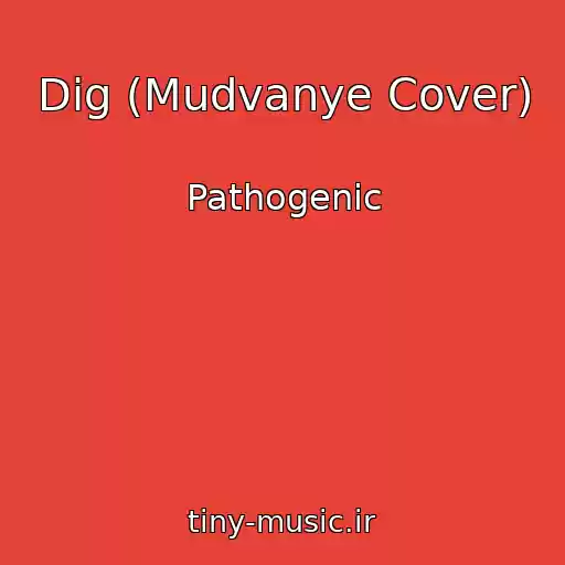 کاور آهنگ Dig (Mudvanye Cover) از Pathogenic
