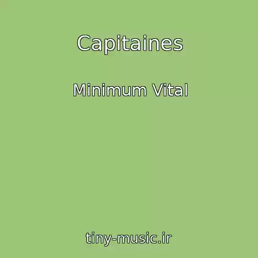 کاور آهنگ Capitaines از Minimum Vital