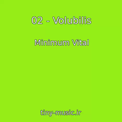 کاور آهنگ 02 - Volubilis از Minimum Vital