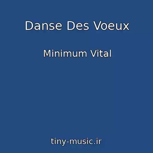 کاور آهنگ Danse Des Voeux از Minimum Vital