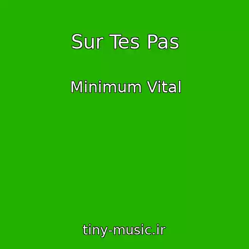 کاور آهنگ Sur Tes Pas از Minimum Vital