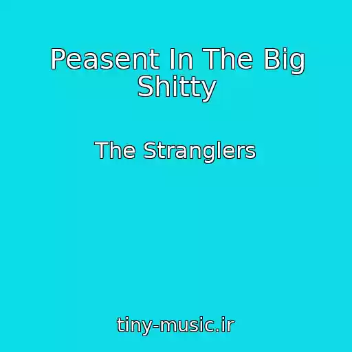 کاور آهنگ Peasent In The Big Shitty از The Stranglers