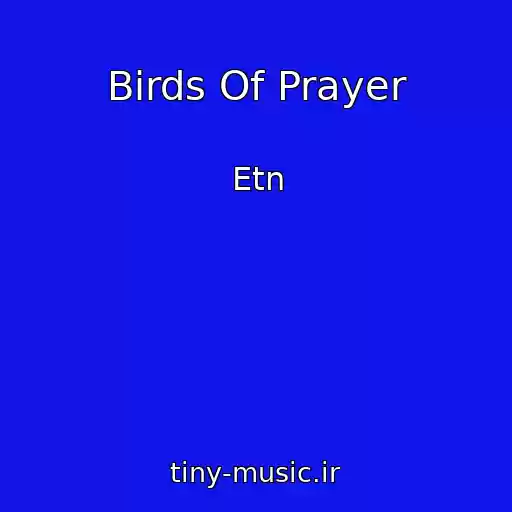 کاور آهنگ Birds Of Prayer از Etn
