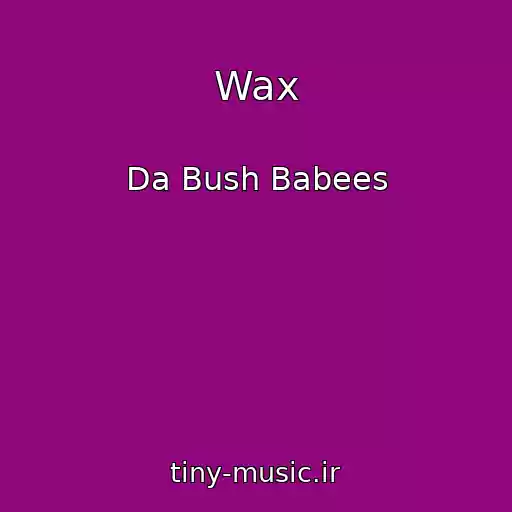 کاور آهنگ Wax از Da Bush Babees