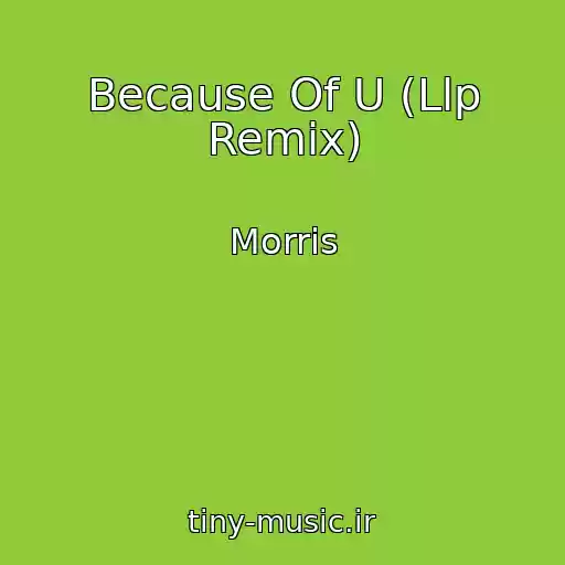 کاور آهنگ Because Of U (Llp Remix) از Morris