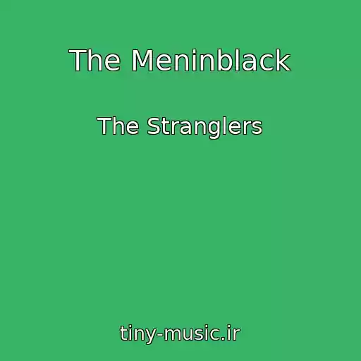کاور آهنگ The Meninblack از The Stranglers