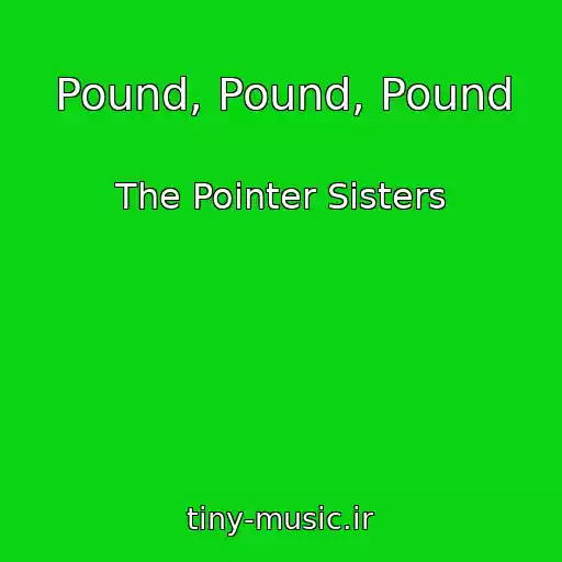 کاور آهنگ Pound, Pound, Pound از The Pointer Sisters