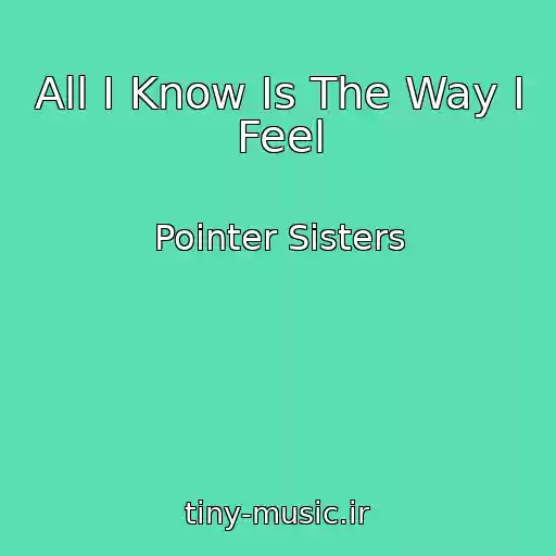 کاور آهنگ All I Know Is The Way I Feel از Pointer Sisters