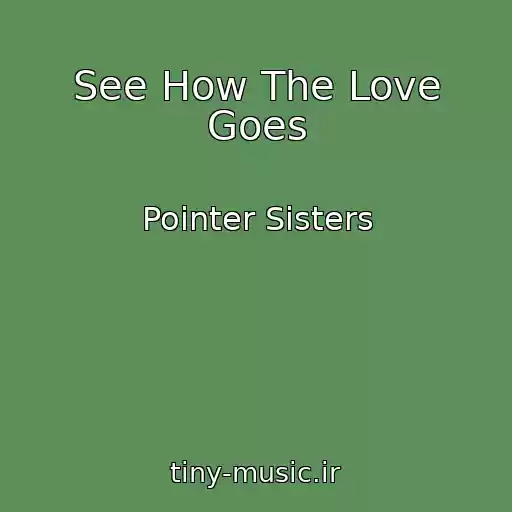 کاور آهنگ See How The Love Goes از Pointer Sisters