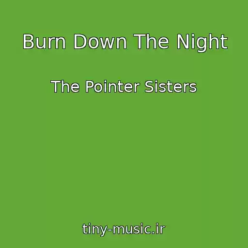 کاور آهنگ Burn Down The Night از The Pointer Sisters