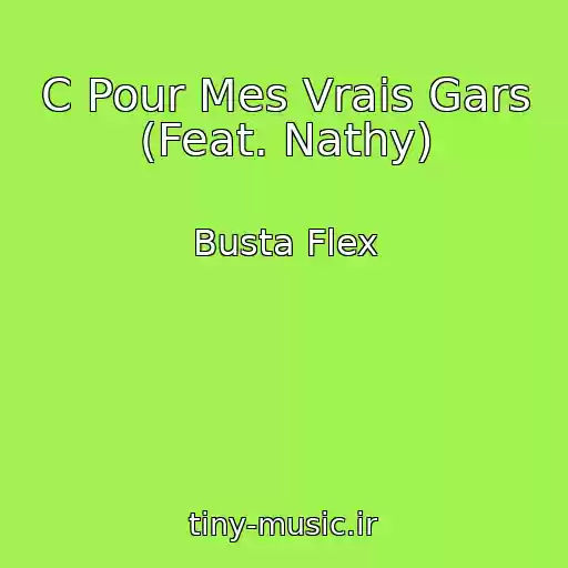 کاور آهنگ C Pour Mes Vrais Gars (Feat. Nathy) از Busta Flex