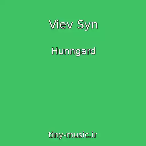 کاور آهنگ Viev Syn از Hunngard